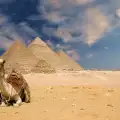 Египетските пирамиди се правели от бъркан бетон