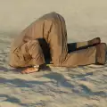 Крие ли щраусът главата си в пясъка?