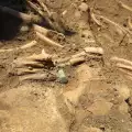 Откриха зловеща находка при разкопки край Дупница