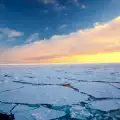 Мумия на полярна принцеса разкриха ледовете на Арктика