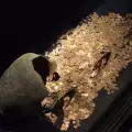 Откриха 10 тона монети в древна гробница