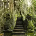 В джунглата на Амазонка откриха голям древен град