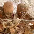 Опушените мумии от остров Нова Гвинея