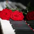 Какво символизира червената роза?