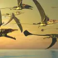 Шестметрови чайки владеели небесата на Антарктида в миналото