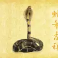 Годината на змията за Риби