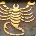 Притчата за зодия Скорпион