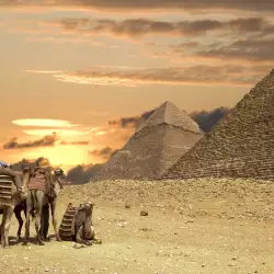 Какъв е размерът на пирамидите в Египет?