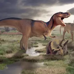 Не един, а два метеорита избили динозаврите