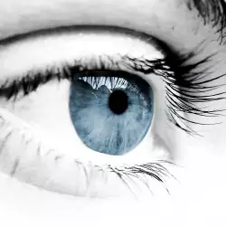 Факти за хората със сини очи