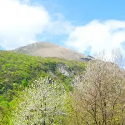 Сръбска планина излъчва странни звуци