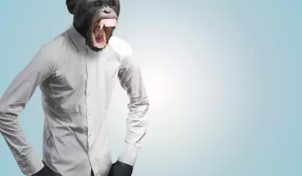 Зъл руски учен опитвал да създаде маймуно-човек