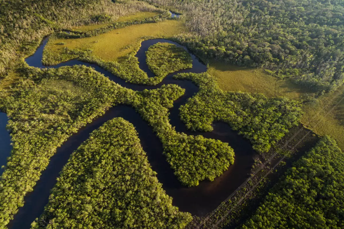 Дълбоко в гъстата тропическа гора на Амазонка в днешна Колумбия
