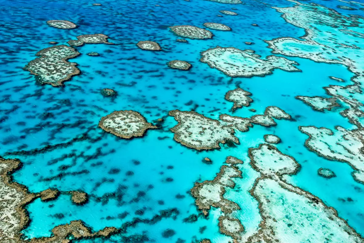 Големият бариерен риф е сред най-великолепните природни чудеса на Земята.