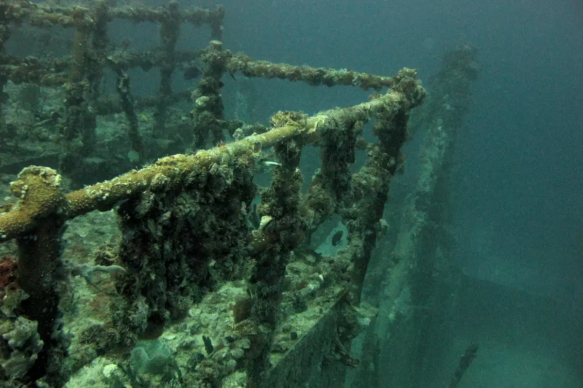 Какво Намериха на Титаник