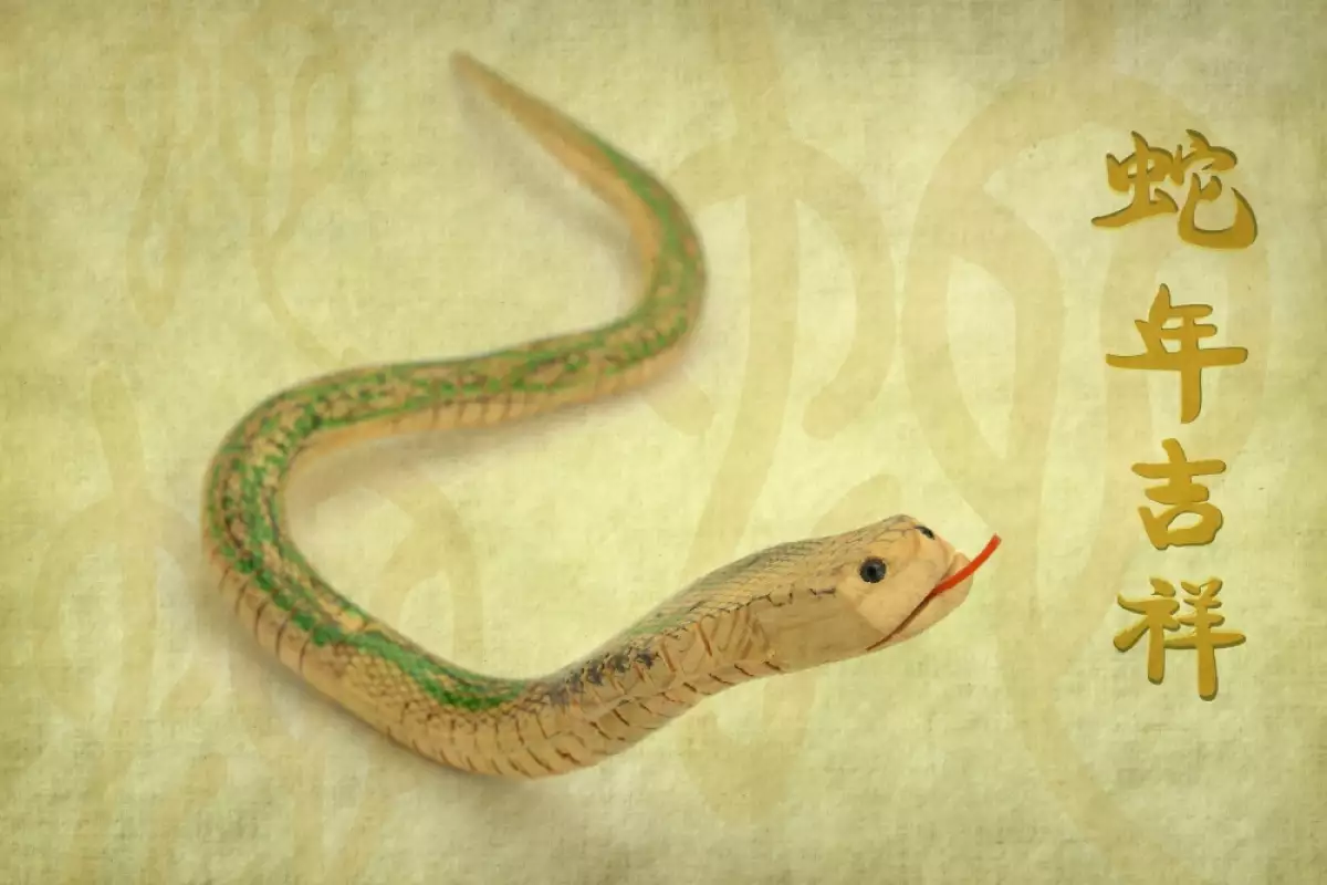 Змия ми пресече пътя