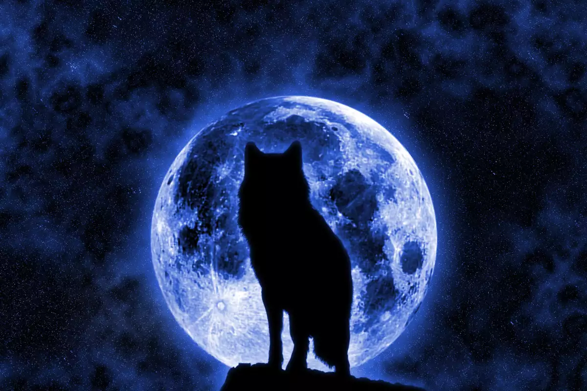 История за вълка и луната