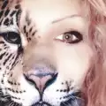 Жижи