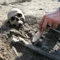Откриха скелет на вампир с вълчи зъби