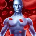 Колко литра кръв има в човешкото тяло?