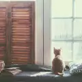 Какво да променим в дома си, за да тръгне положителната енергия?