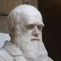 Интересни факти от живота на Чарлз Дарвин