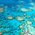 Големият бариерен риф: Блестящото съкровище, което трябва да опазим