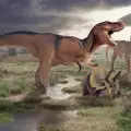 Тиранозавър Рекс замезвал малки бебета
