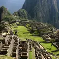 Инките просперирали чрез изпражненията на ламите