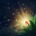 Магията на цветята
