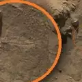 Кюриосити засне риба на Марс