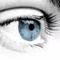 Факти за хората със сини очи