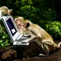 Свързаха маймунски мозъци с компютър