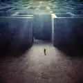 Какво може да се случи в бъдеще с нашия вид