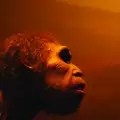 Истината за неандерталеца и огромния му нос