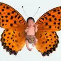 Кои са пеперудените деца
