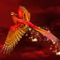 Предания за феникса – птицата на любовта