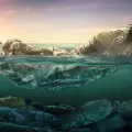 Проектът на Боян Слат за изчистване на океаните вече заработи