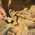 Свързващото звено между неандерталеца и човека