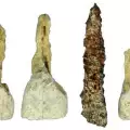 Откриха най-стария фалшив зъб в Европа