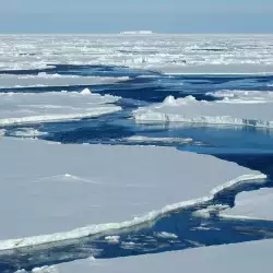 След 30 г няма да има ледове в Северния ледовит океан