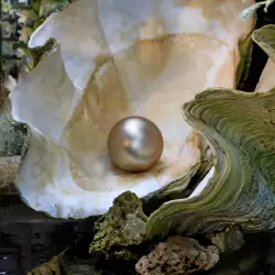 Откриха естествена перла на 2000 г. в Австралия
