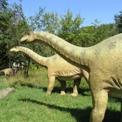 Змиорка надживяла динозаврите