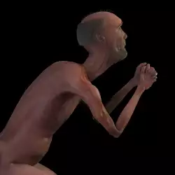 Факти за живота на Диоген