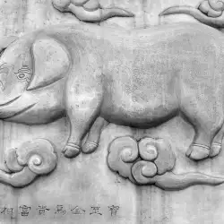 Китайски хороскоп: зодия Свиня