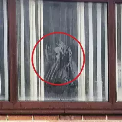 Ловец на духове засне призрачна жена с котка
