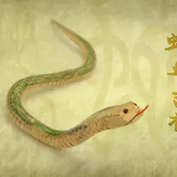 Китайски хороскоп: зодия Змия