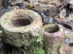 Аязмото на Света Марина лекува болни очи