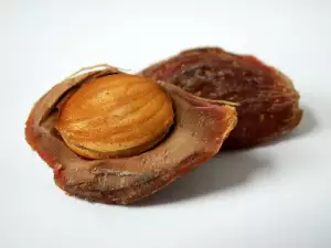 Талисмани от костилки
