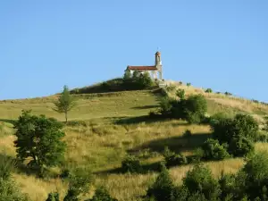 Легендите и енергийната магия на Кръстова гора